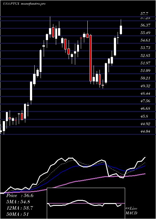 Daily chart ProtagonistTherapeutics
