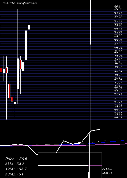 monthly chart ProtagonistTherapeutics