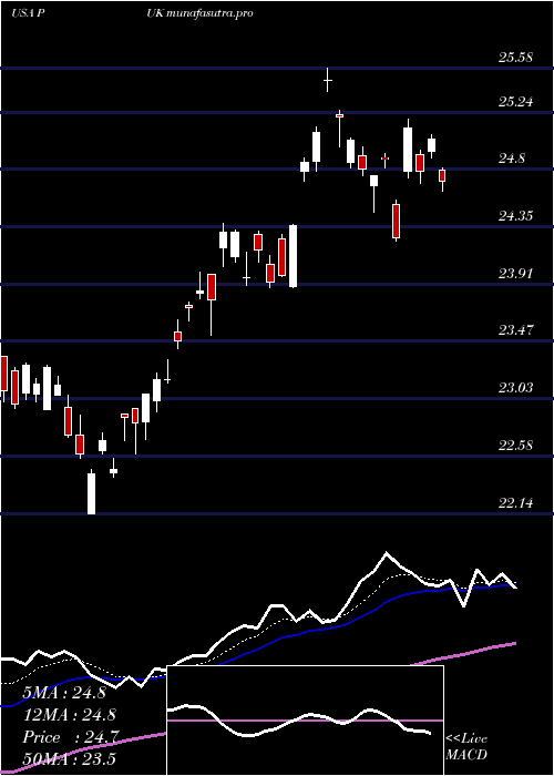 Daily chart PrudentialPublic