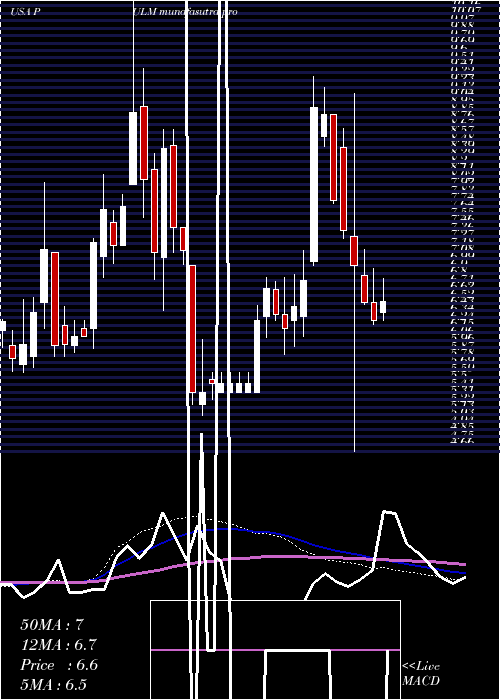 weekly chart PulmatrixInc