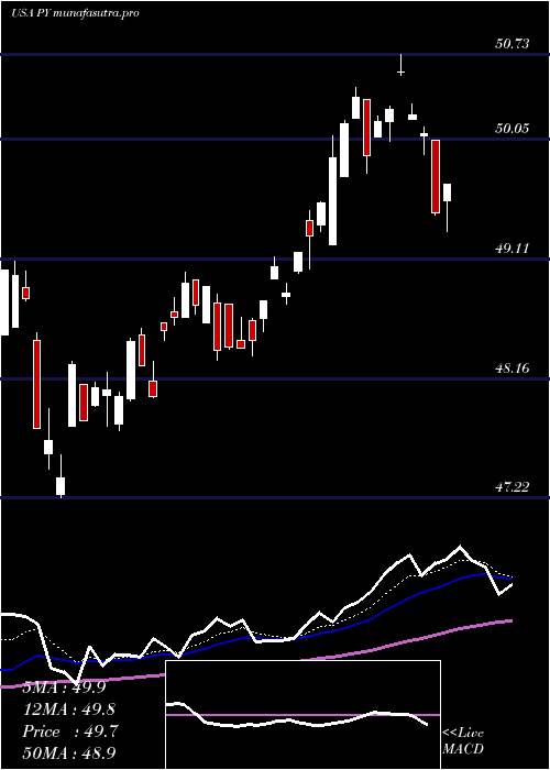 Daily chart PrincipalShareholder
