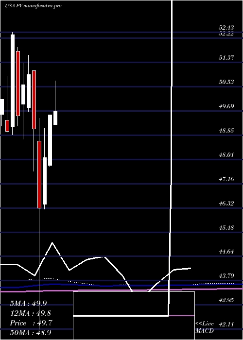 monthly chart PrincipalShareholder