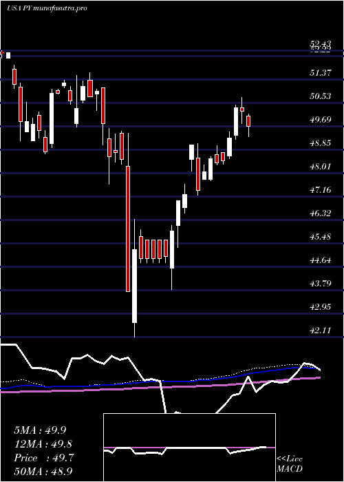 weekly chart PrincipalShareholder