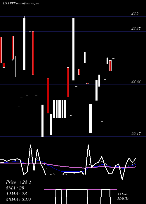 Daily chart PplusTrust