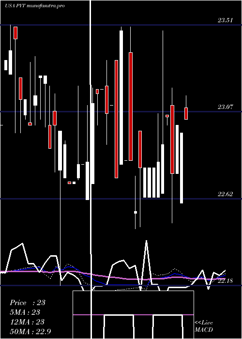 weekly chart PplusTrust