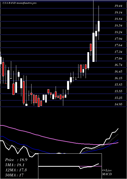 Daily chart RandCapital