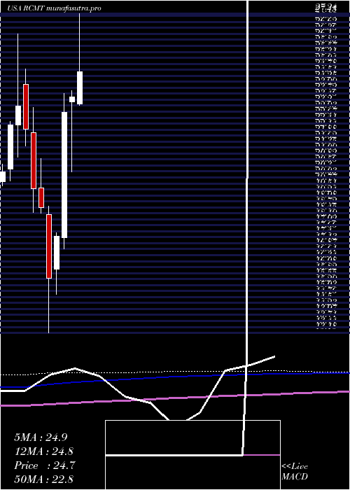  monthly chart RcmTechnologies