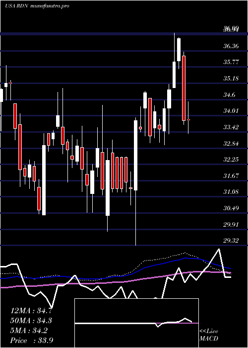 weekly chart RadianGroup