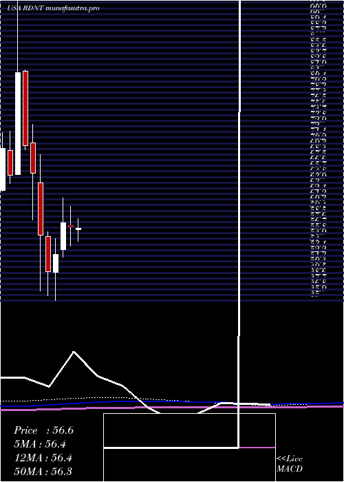 monthly chart RadnetInc