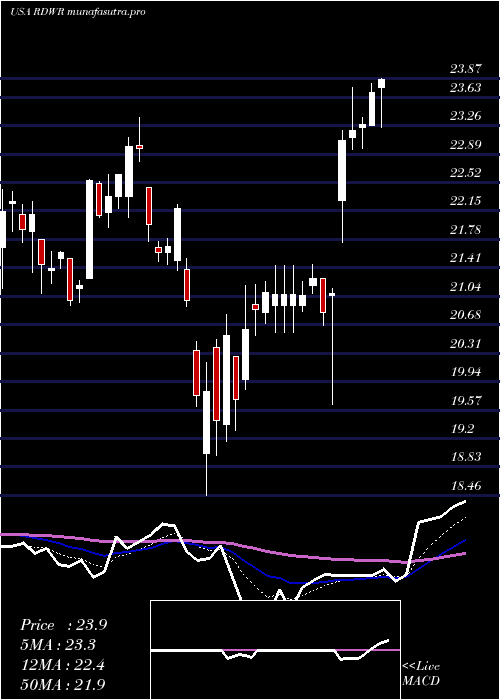 Daily chart Radware