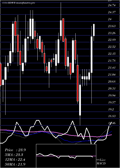  weekly chart Radware