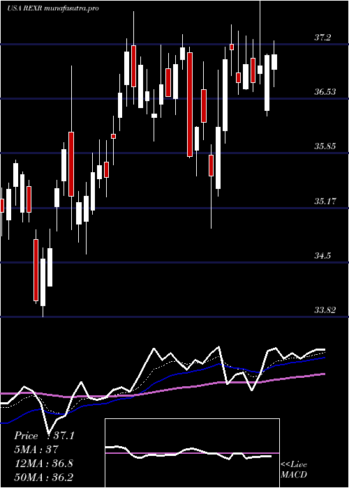Daily chart RexfordIndustrial