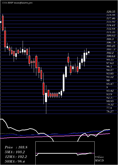 weekly chart RymanHospitality