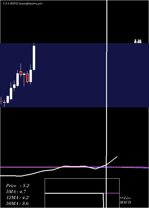 monthly chart RiminiStreet