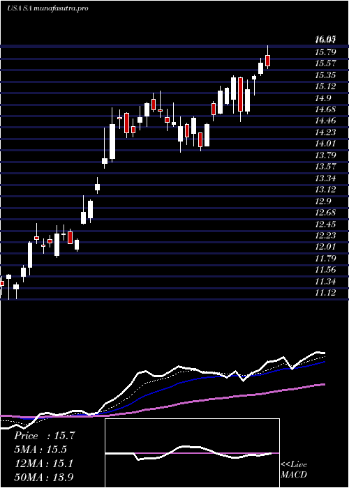 Daily chart SeabridgeGold