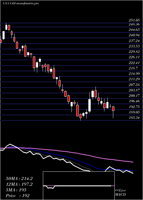 Daily chart BostonBeer