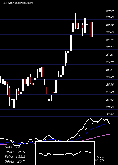 Daily chart SeacoastBanking