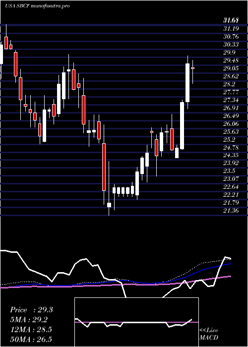 weekly chart SeacoastBanking