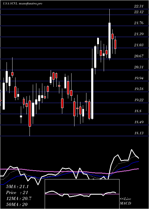 Daily chart ShoeCarnival