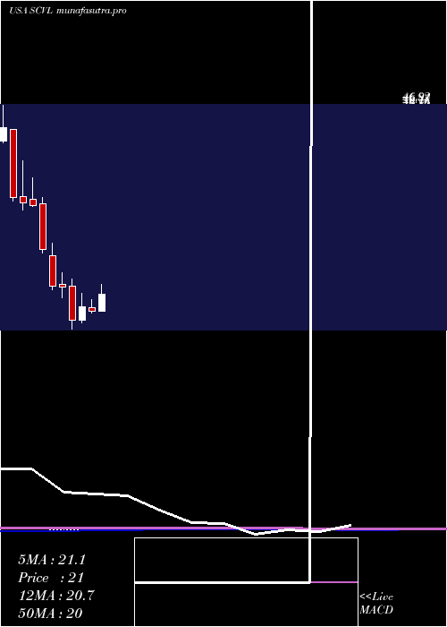 monthly chart ShoeCarnival