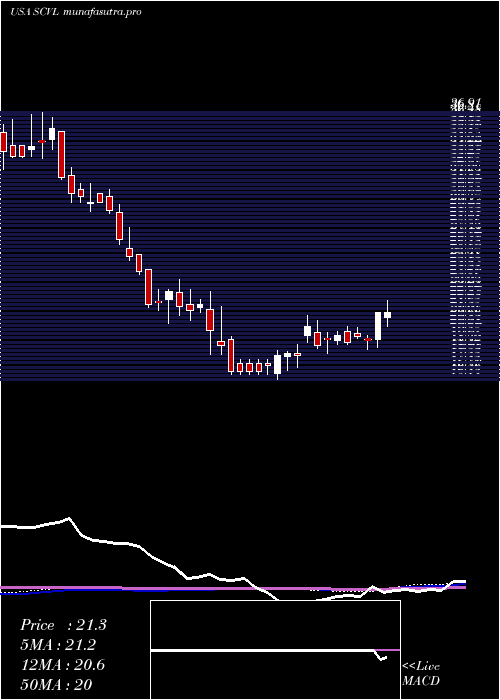 weekly chart ShoeCarnival