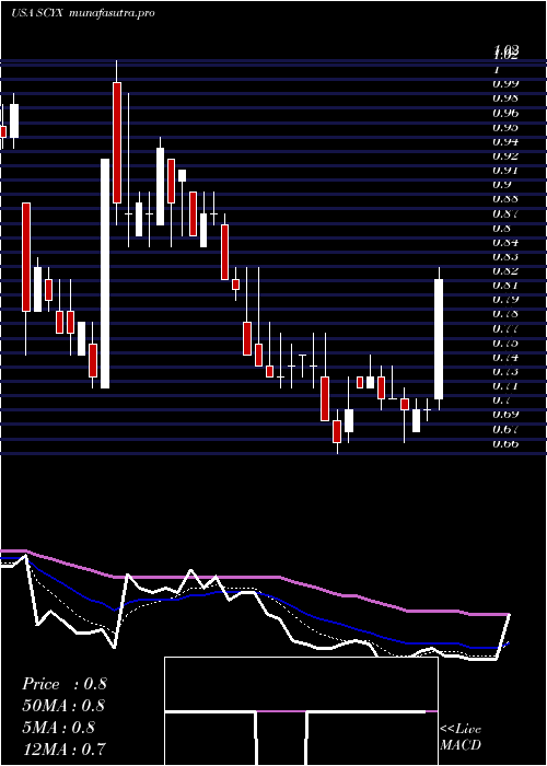 Daily chart ScynexisInc