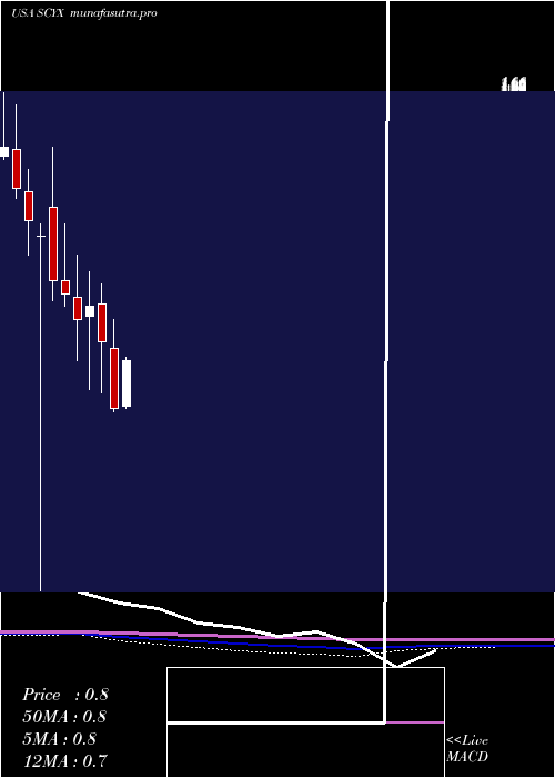 monthly chart ScynexisInc