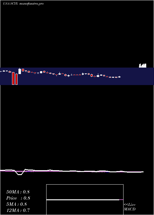 weekly chart ScynexisInc