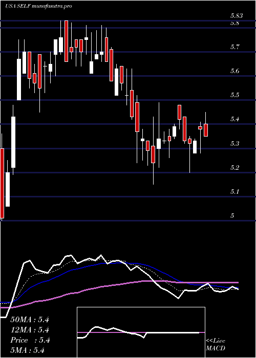 Daily chart GlobalSelf