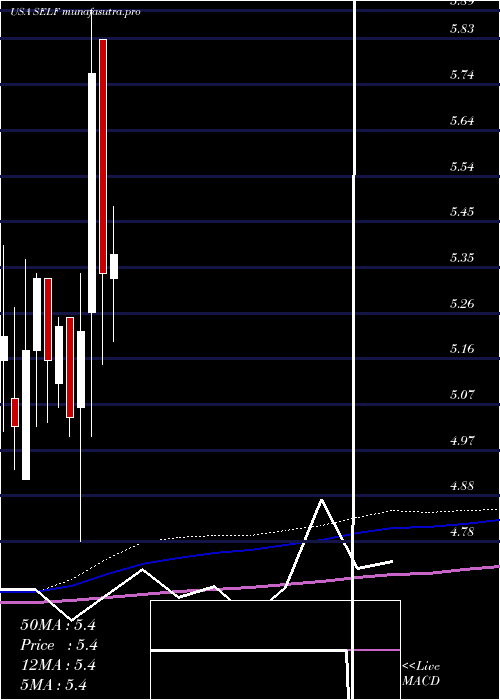 monthly chart GlobalSelf