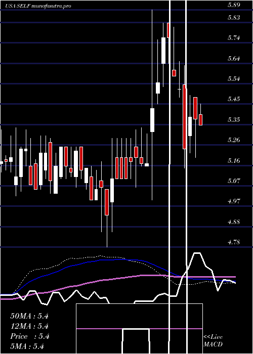 weekly chart GlobalSelf