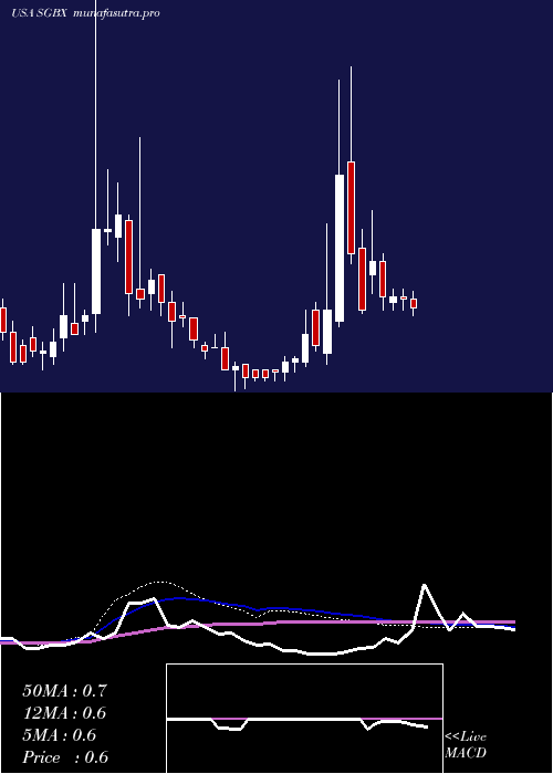 weekly chart SgBlocks
