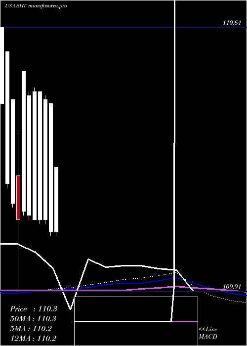 monthly chart IsharesShort