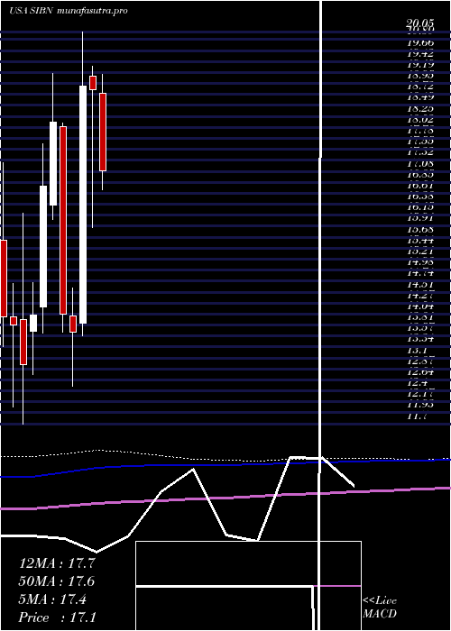 monthly chart SiBone