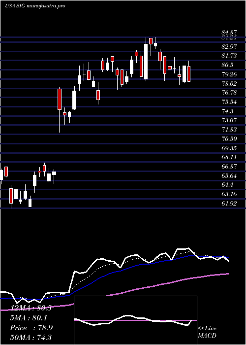 Daily chart SignetJewelers