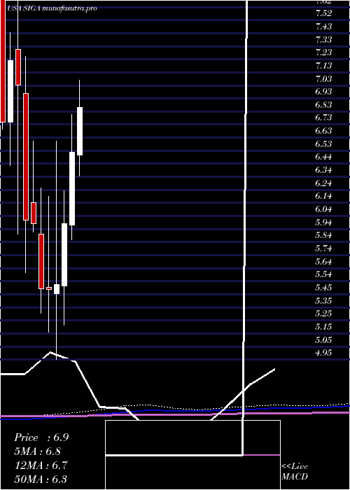 monthly chart SigaTechnologies