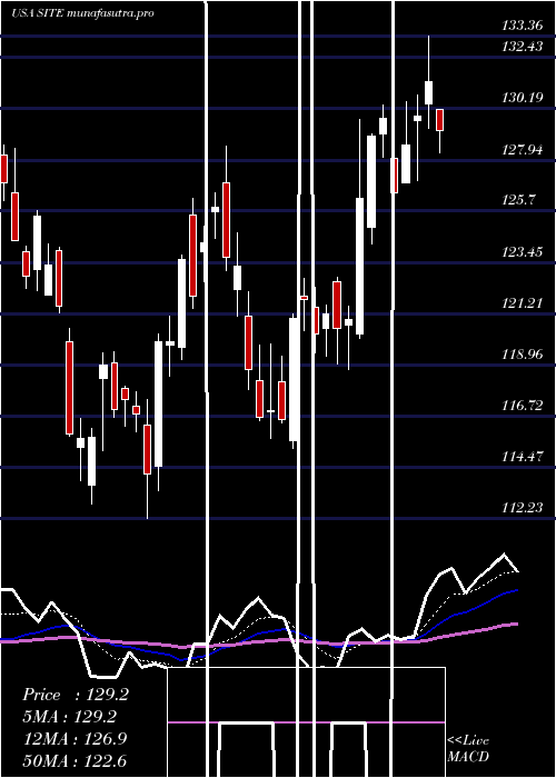 Daily chart SiteoneLandscape