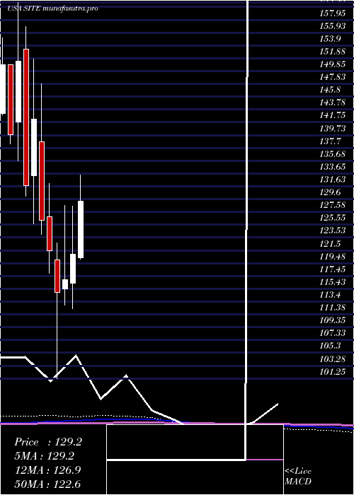 monthly chart SiteoneLandscape