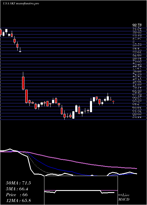 Daily chart SkylineChampion