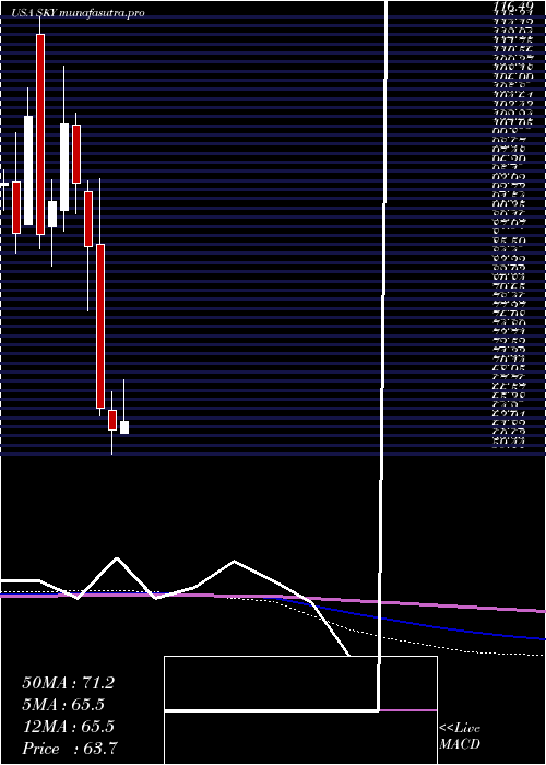 monthly chart SkylineChampion