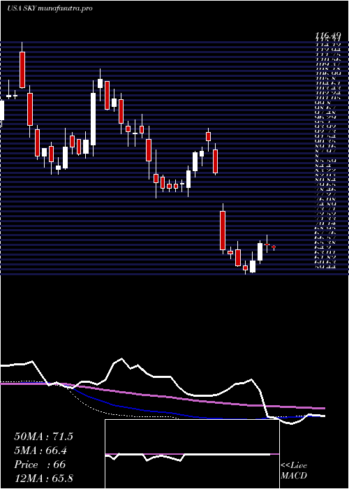 weekly chart SkylineChampion
