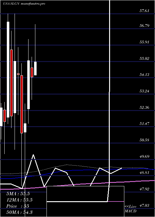 monthly chart SilganHoldings