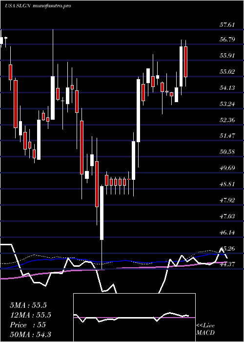 weekly chart SilganHoldings