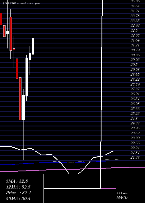 monthly chart StandardMotor