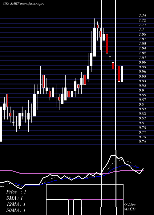  Daily chart SteinMart