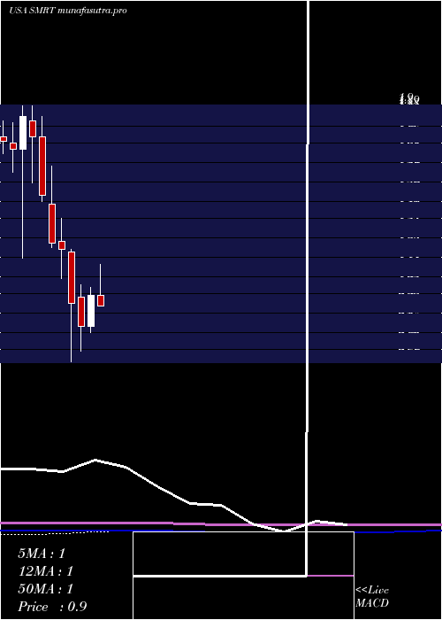  monthly chart SteinMart