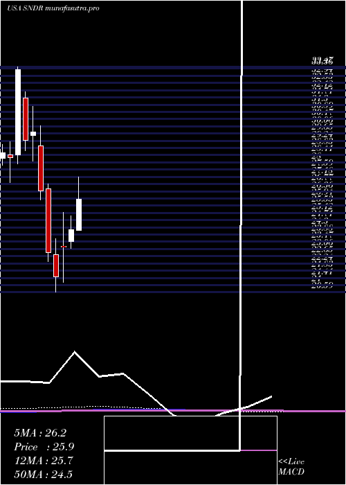 monthly chart SchneiderNational