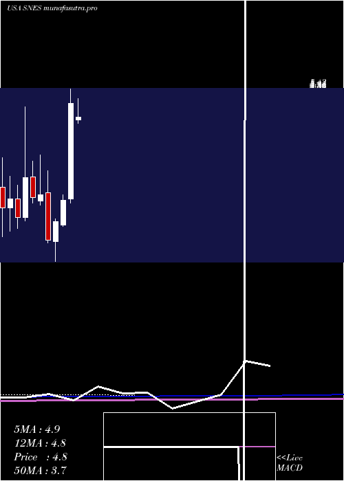 monthly chart SenestechInc