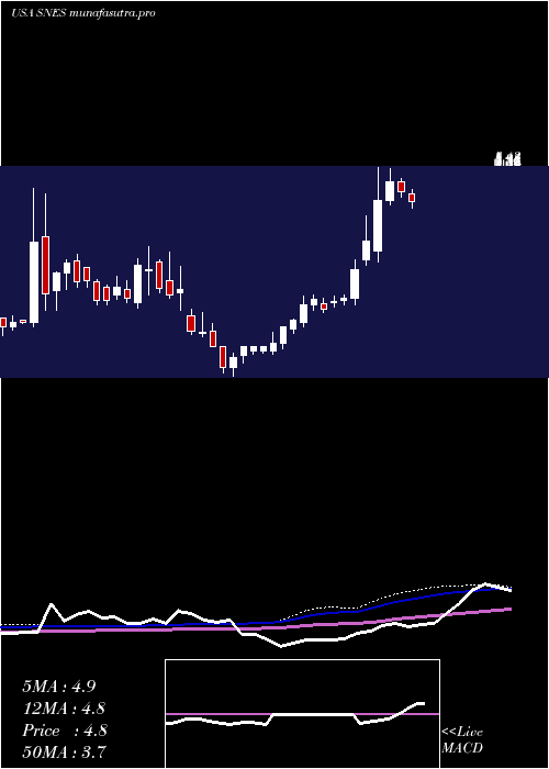 weekly chart SenestechInc