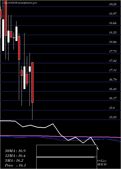  monthly chart SotherlyHotels